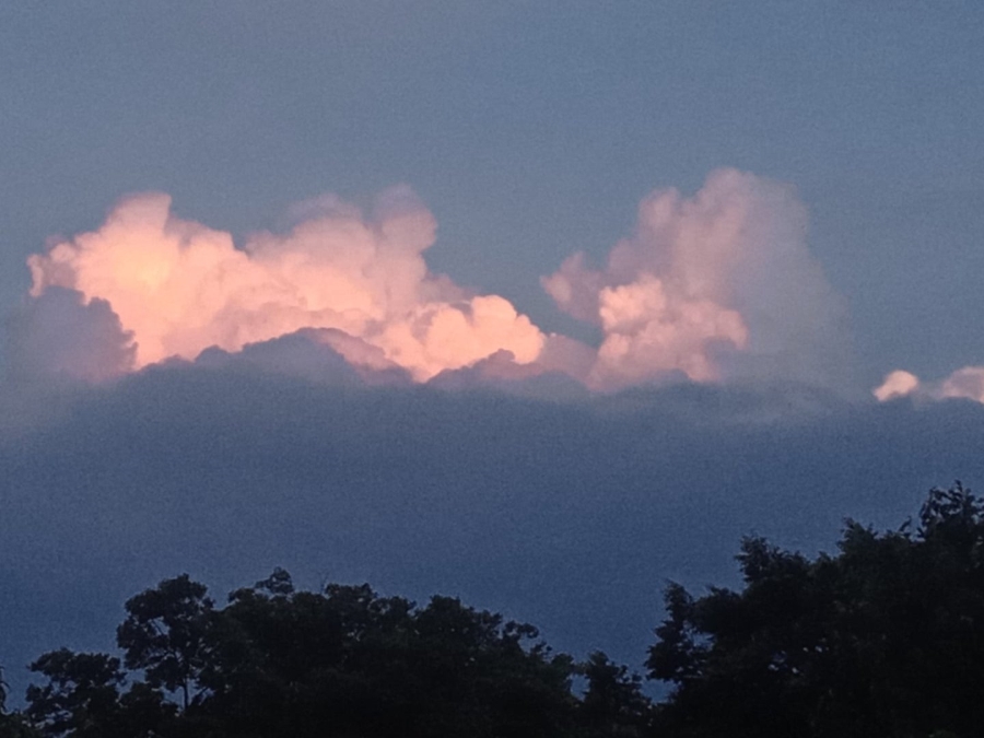 Commercial Property for Sale in Wavecrest Eastern Cape